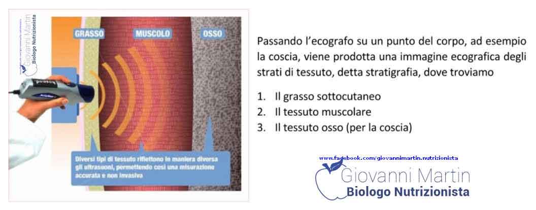 Immagine che contiene testo, schermata

Il contenuto generato dall'IA potrebbe non essere corretto.