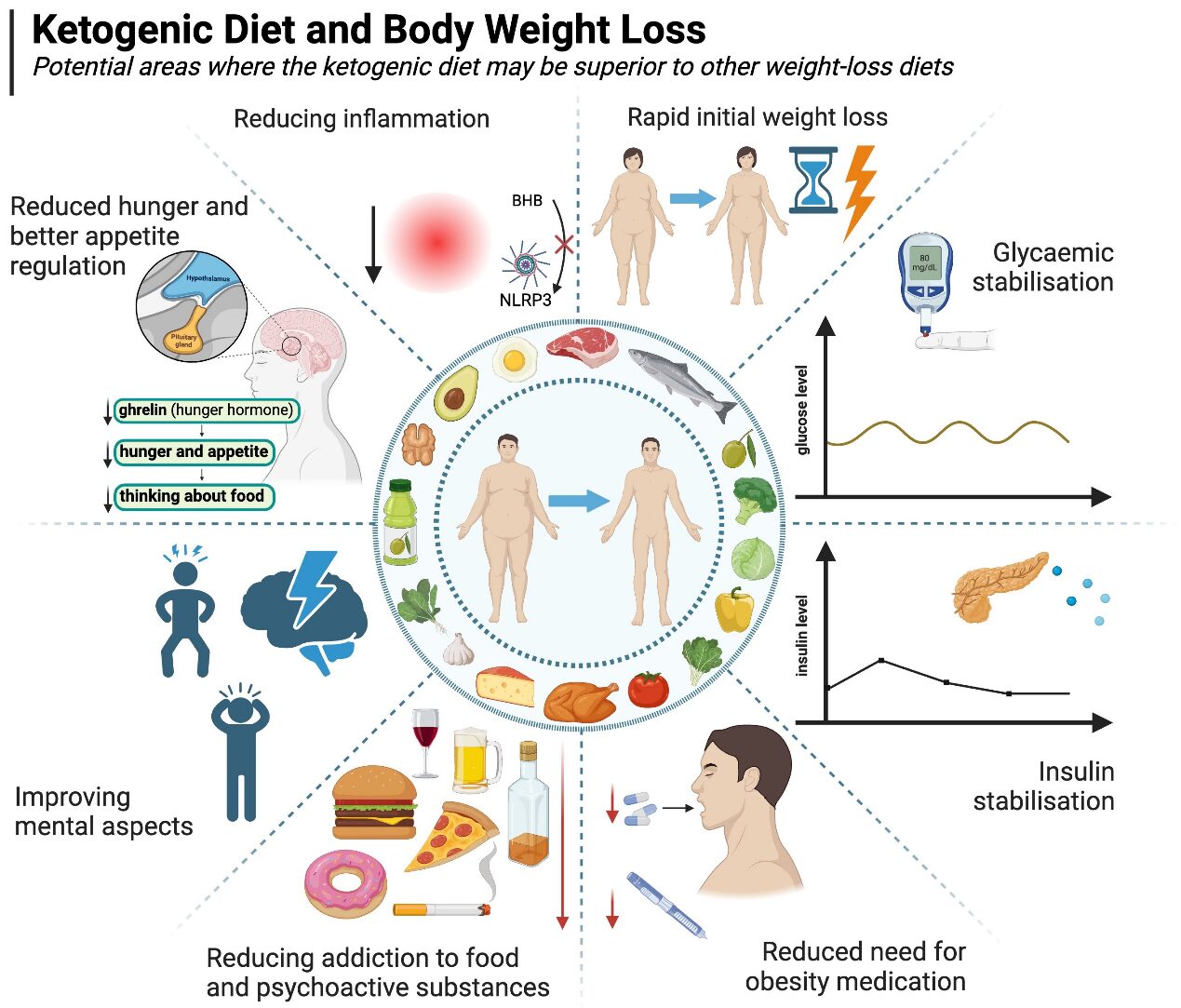 Ketogenic Diets for Body Weight Loss: A Comparison with Other Diets